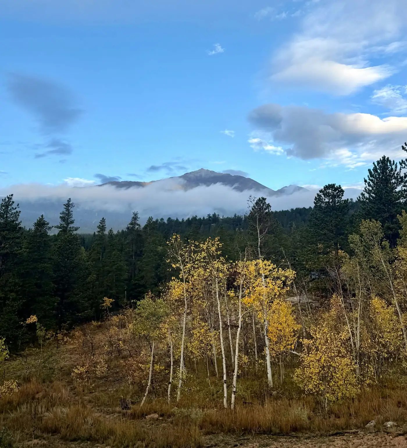 Mount Meeker at sunrise from Michelle's Colorado retreat